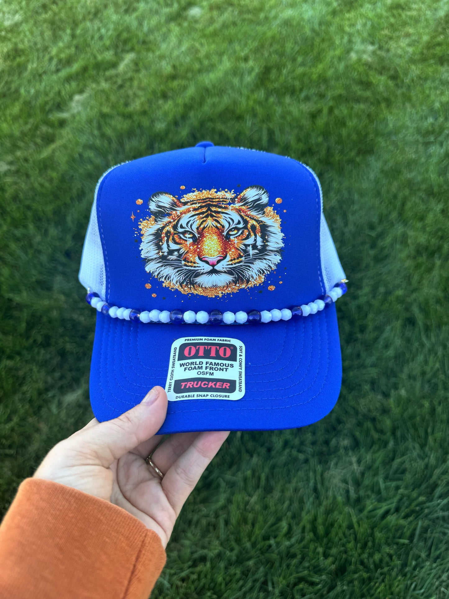 Tiger Mascot